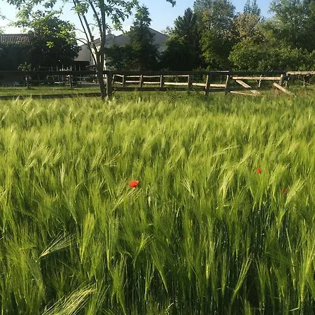 Agriturismo Loghino Caselle 3*