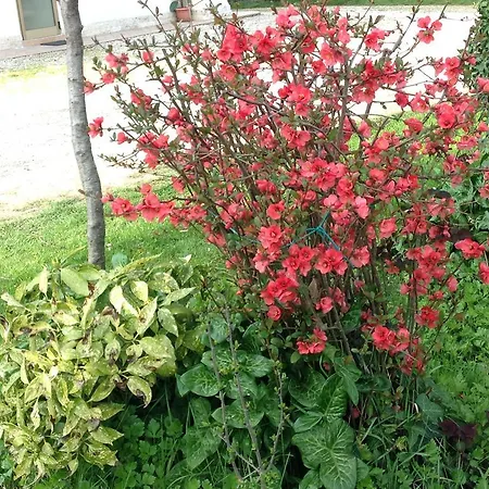 Agriturismo Loghino Caselle