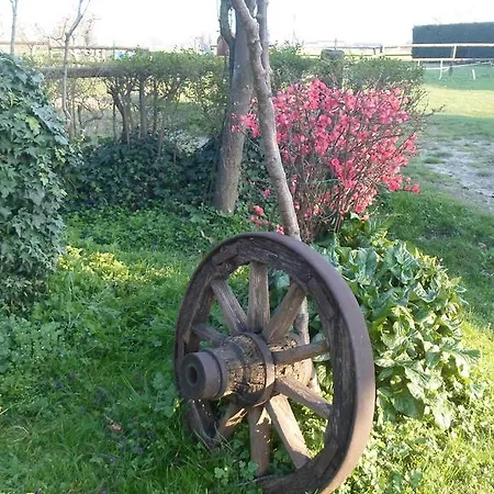 Agriturismo Loghino Caselle Guest house San Giorgio di Mantova
