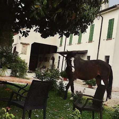 Guest house Agriturismo Loghino Caselle